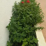 Gasthof Le Doppia Con Bagno Privato E Terrazza Casarano